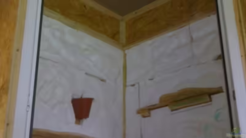 Styropor fertig kontuiert von Betta Chris (29)