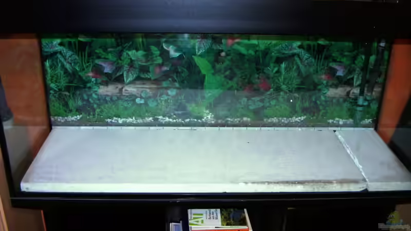 Styropor im Becken von Danny Mietzsch (4)