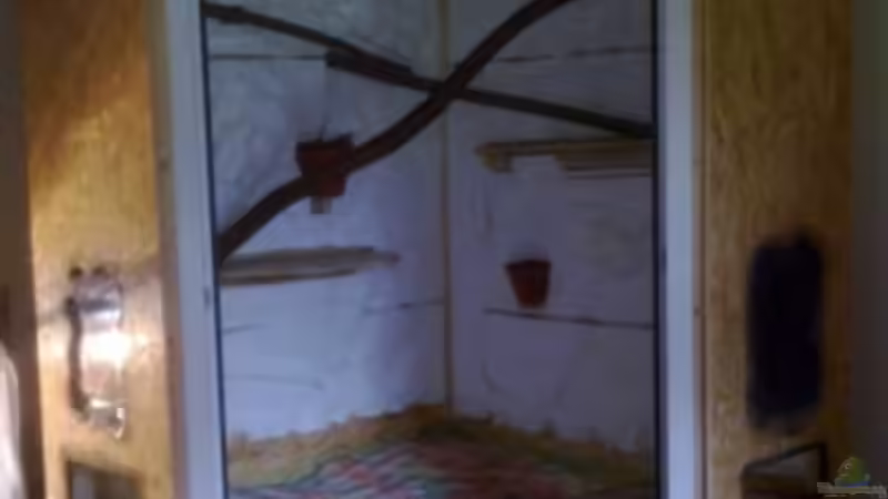 Styropor ist ein stinkendes Sauzeug,...  von Betta Chris (30)