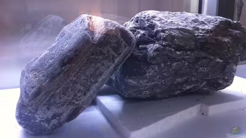 Styropor-Unterlagen für 35kg Steine (Punktbelastung ausgleichen) von axxo (12)