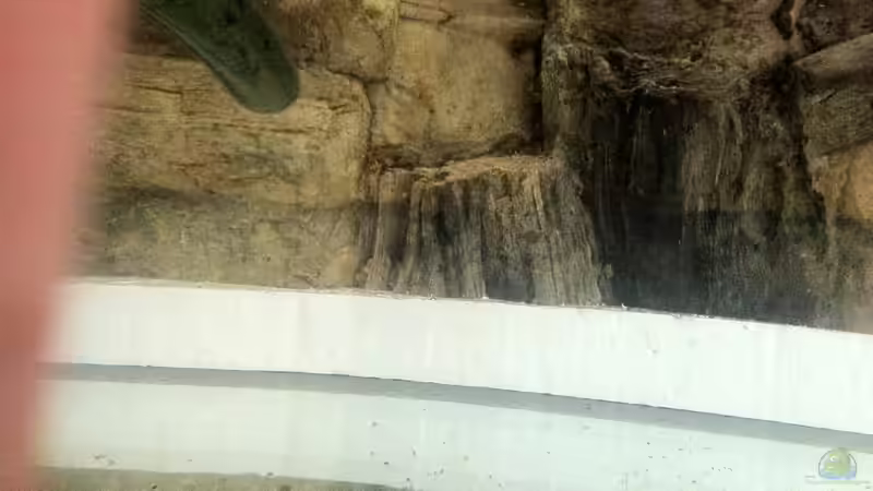 Styropor verhindert das dahintergelangen von Kies und Fischen von Redül (4)