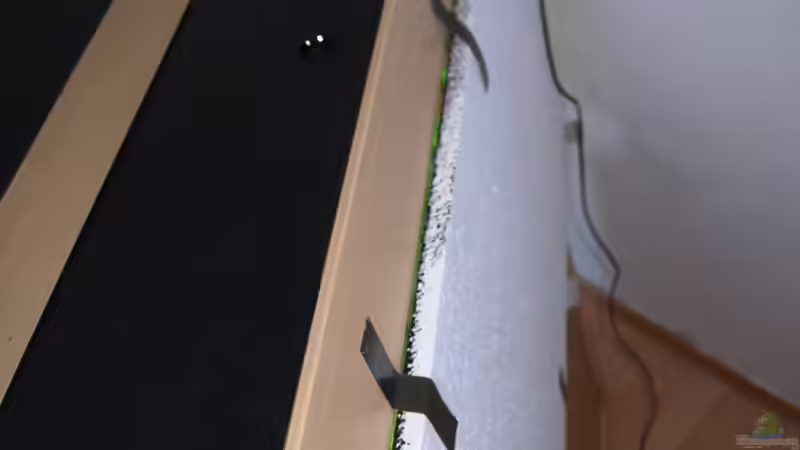 Styroporplatte auf der Rückseite von Michael Seraph (25)