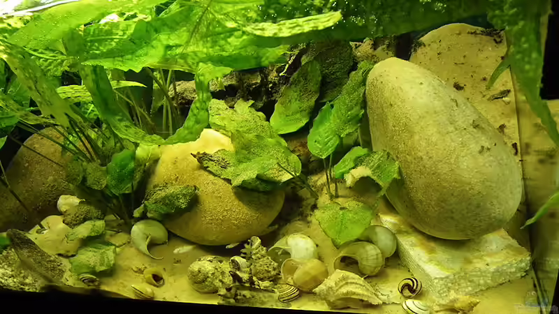 Styroporplatten freigebuddelt ! von Bazzi (9)