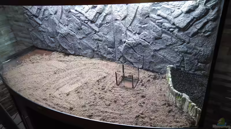 Substrat und erste Terrasse mit schwarzem Kies eingefüllt nach Reinigung des Beckens. Die Terrasse ist auf den Boden geklebt. Hält. Esser und sollte auch dicht sein um das Verbreiten der Wasserschraub von AdrianSoS (19)