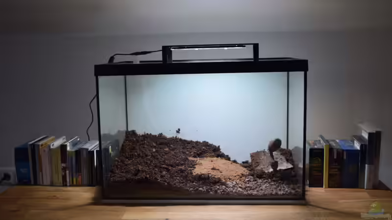 Substrat wird eingefüllt von Junglist (4)