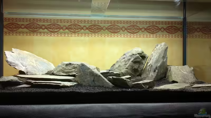 substrate and rocks (10.01.2013) von lomarraco (2)