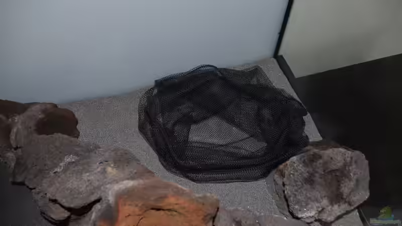 Substraterhöhung mit Lavagrid in Teichfiltersäcken von Gallius (16)