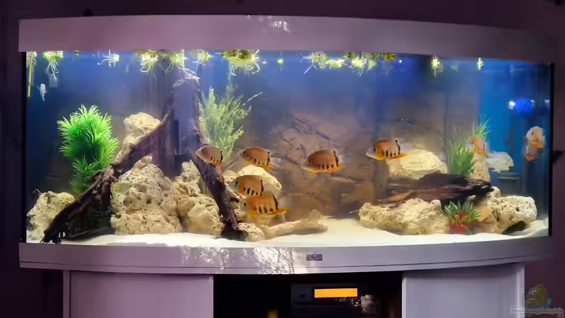 Süd  von DocMau (1)