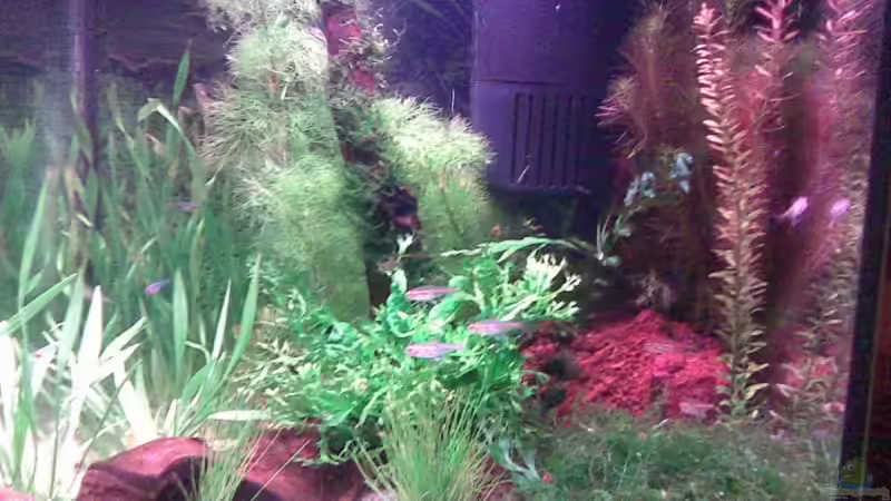 Süd Ameriaka  von Dennis24HB (1)