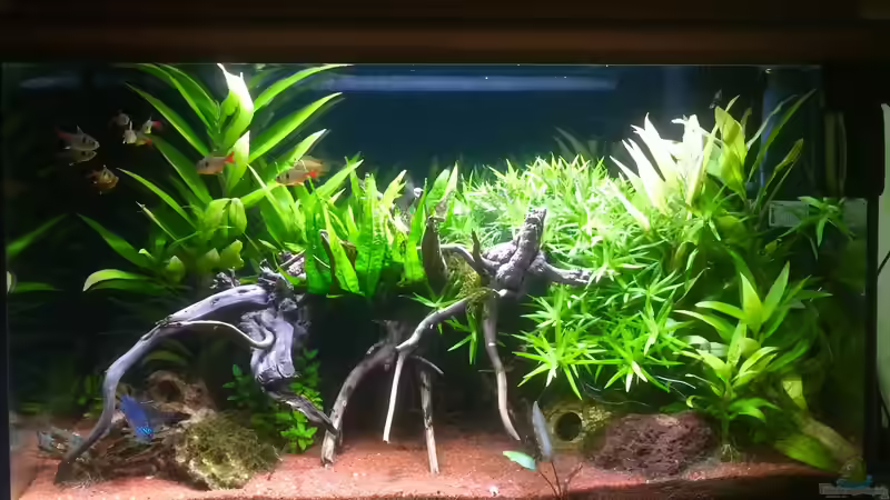 Südamarika 64 Liter von Baron Zelle (1)