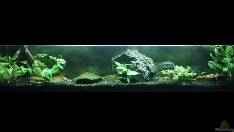 Südamerika .... flacher geht es nicht ;-) von Eginger (1)