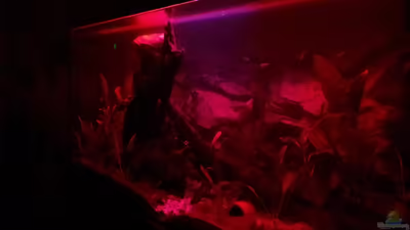 Südamerika erwacht... von marciii1985 (18)