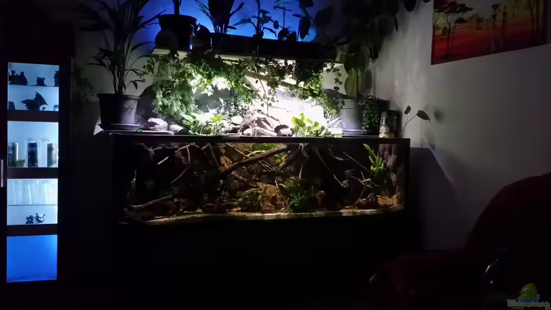 Südamerika Flussufer  540 l von Micha Zoschke (1)