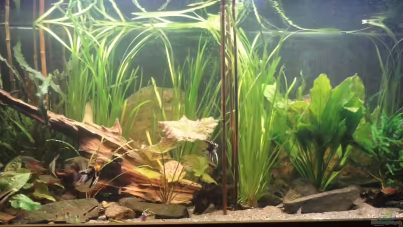 Südamerika Neu von Andreas Mayer (1)