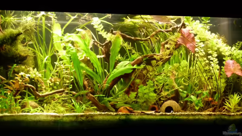 Südamerika Raumteiler von erma (1)