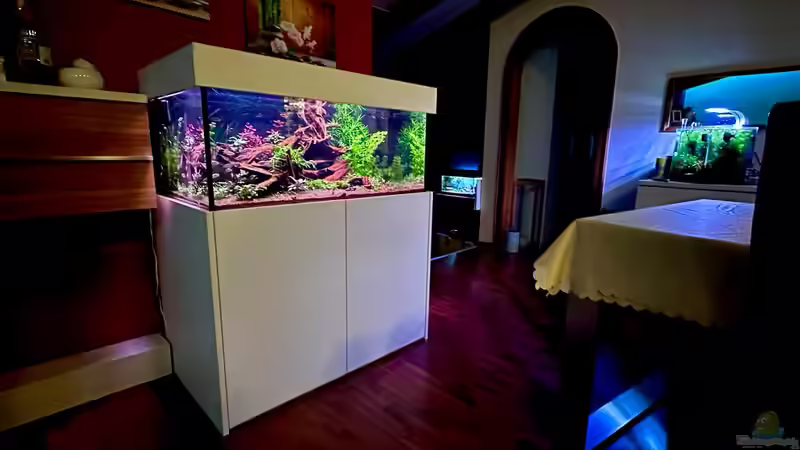 Südamerika Tank Hauptfoto von Tim1979 (2)