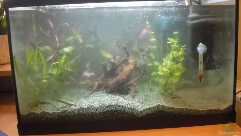 Südamerika Testbecken