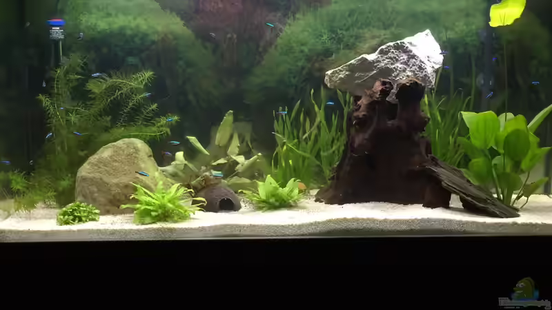 Südamerika-Traum von Nxsterr (1)