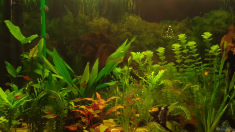 Südamerika von Martina & Andreas Deutschmann (1)