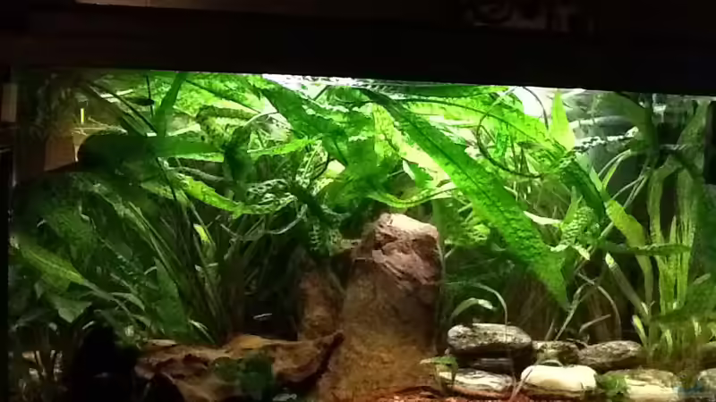 Südamerika von Oliver Renkel (1)