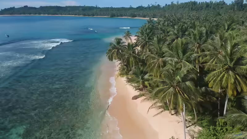 Sumatra - Mehr als die Heimat der Sumatrabarbe