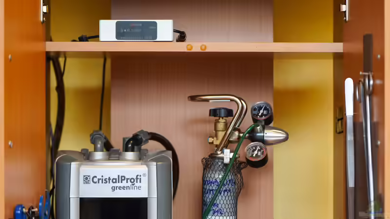 Sumatra ask for party von djoser (37)