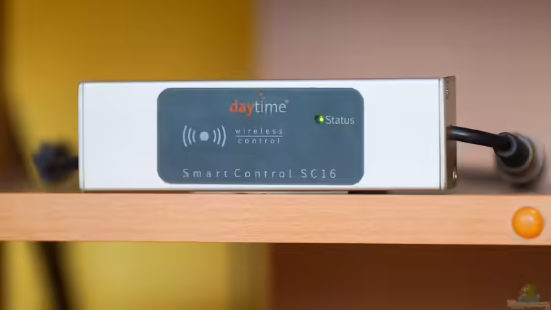 Sumatra ask for party von djoser (38)