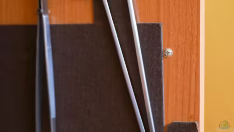 Sumatra ask for party von djoser (39)