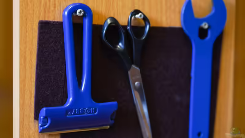 Sumatra ask for party von djoser (41)