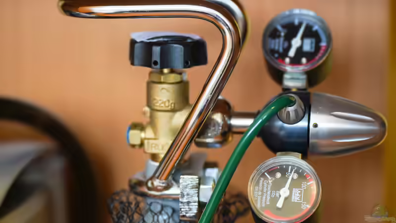 Sumatra ask for party von djoser (42)