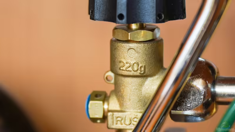 Sumatra ask for party von djoser (43)