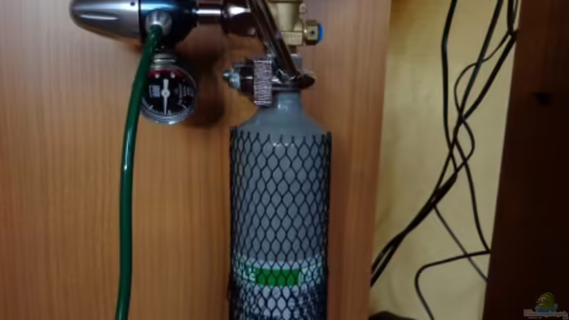 Sumatra ask for party von djoser (44)