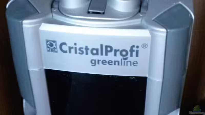 Sumatra ask for party von djoser (47)