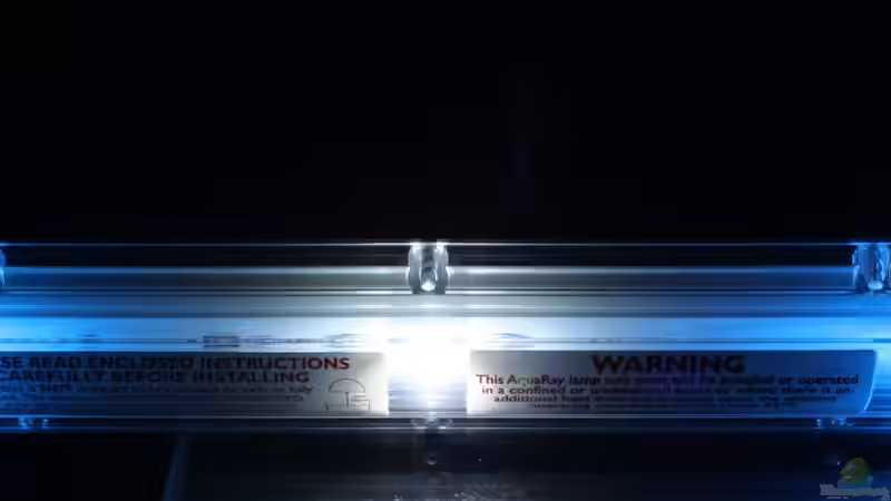 Sun Eco LEDs 500 Reef White 2 x a 50 cm Länge von Florian Bandhauer (63)