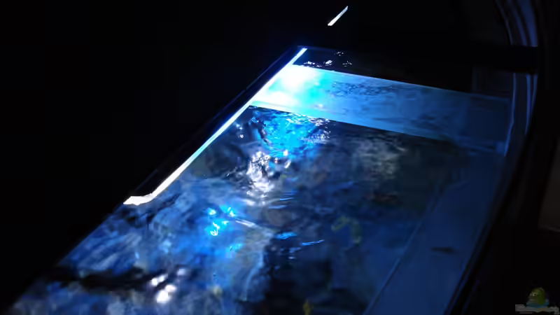 Suna Eco 500 Reef White von Sebastian O. (25)