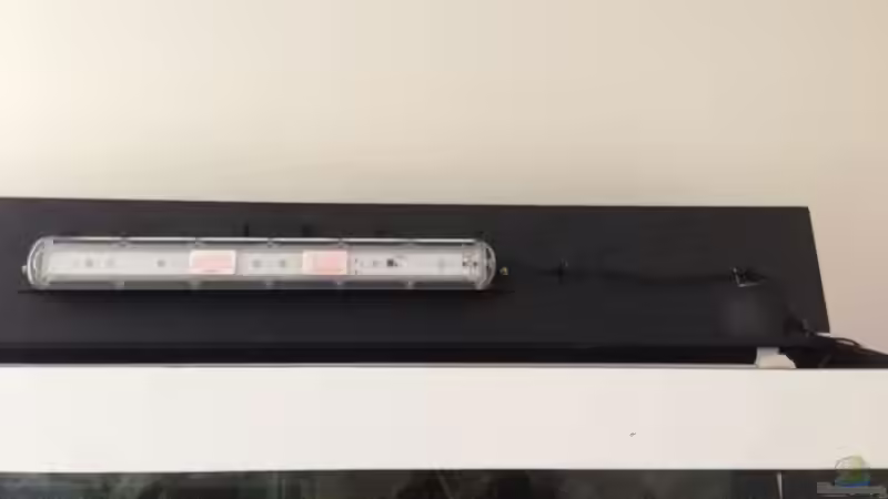 Suna Eco 600 Marina white von Benjamin Schmider (11)