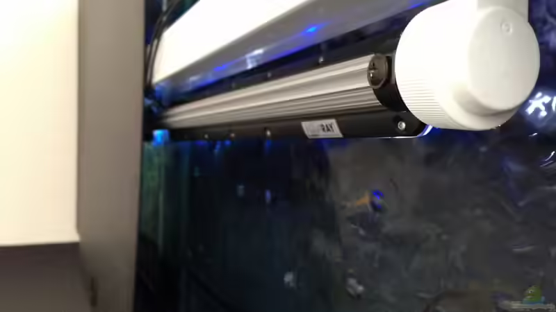 Suna Eco mit MMS Schiene und passendem T5 Adapter montiert von Chimme (29)