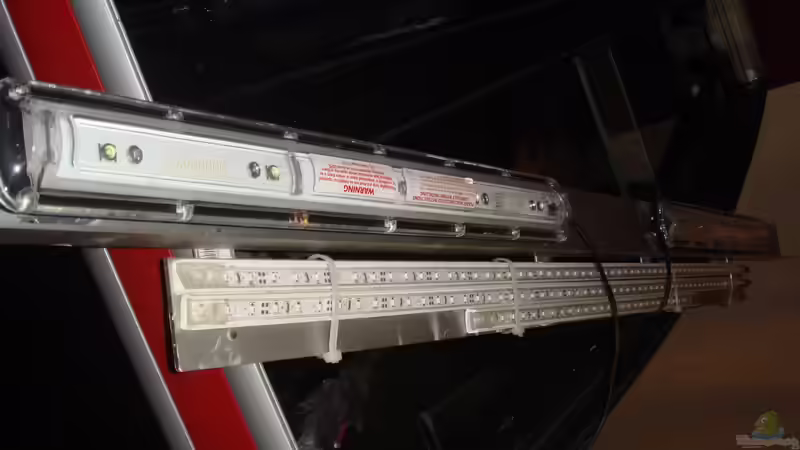 Suna Eco und Rising Sun  zum Einbau bereit von Couro (35)