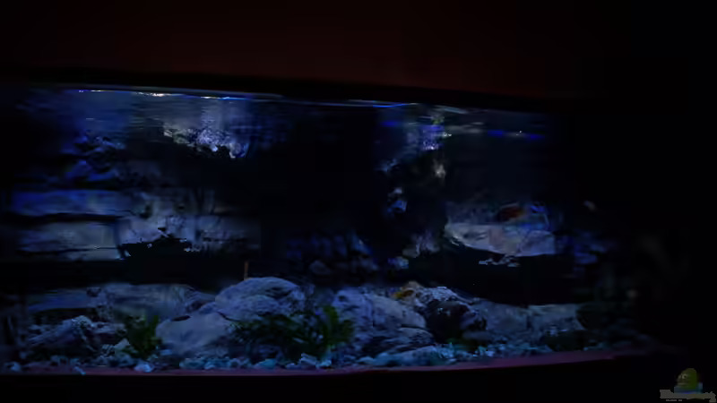 SunaECO ----60% Beleuchtung von Frank Hopp (9)