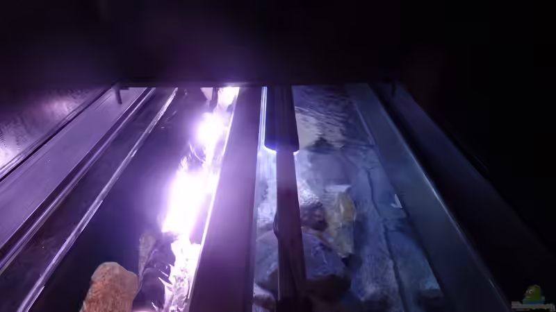 Sunaeco 600 LED und T8 Röhre von Malawi_Einsteiger (18)