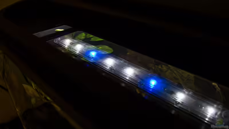 SunaEco 600 Tropic Marin von GoreSlayer (20)