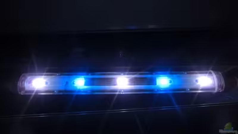 SunaEco Reef White 500 LED von marxbre (35)