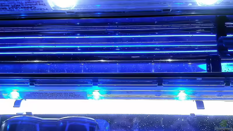 SunaECO+T5 von snoopy2008 (4)