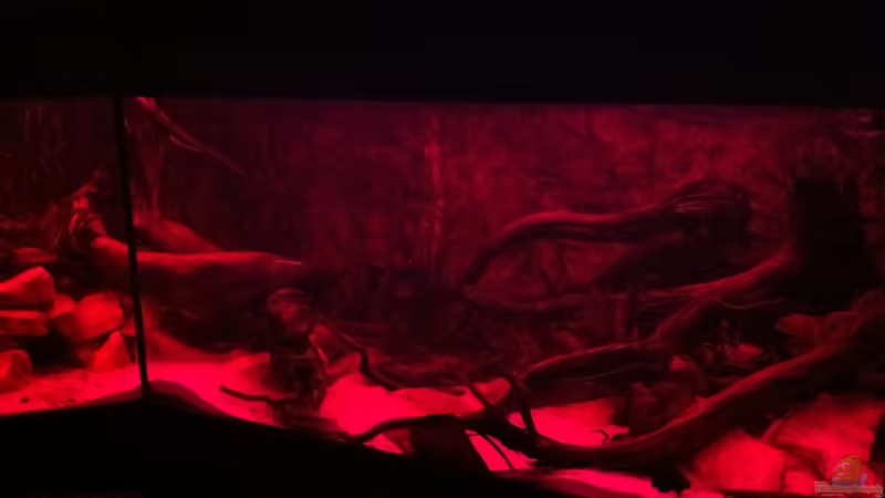 ´Sundown´ von GGuardiaNN (18)