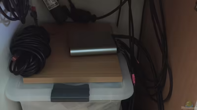 Sunriser8 von Danny (36)