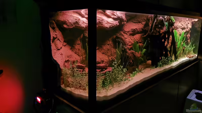 Sunset im Aquarium - die ??nderung in Farbe und Lichtintensität ist der größte Pluspunkt dieser Beleuchtung von Odonata (5)