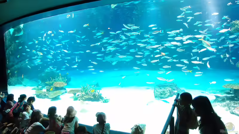 Sunshine Aquarium in Ikebukuro, Tokio - Das faszinierende Meeresparadies über den Dächern der Stadt