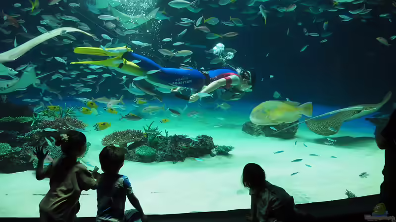 Sunshine Aquarium in Ikebukuro, Tokio - Das faszinierende Meeresparadies über den Dächern der Stadt