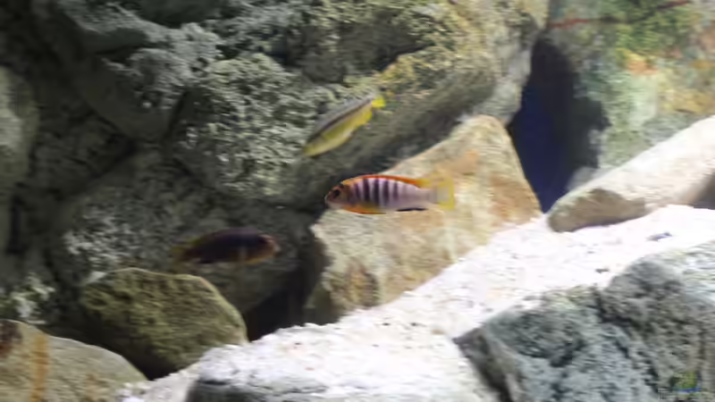 Super reeeeeed :) von TheToxicAvenger (59)