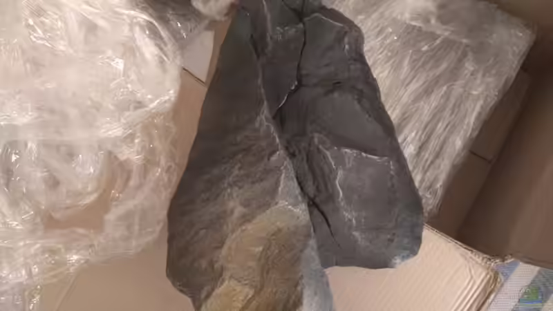 Super verpackt und optisch der Hammer von pacho (3)